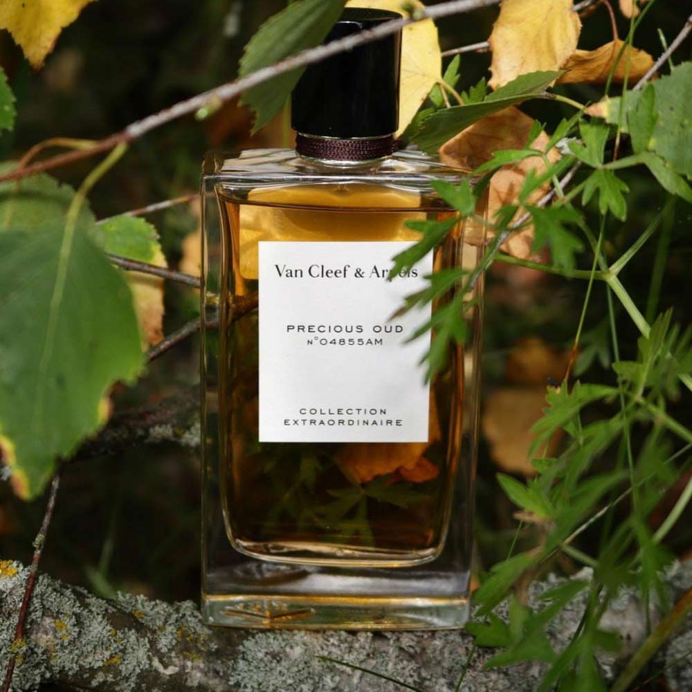Van Cleef and Arpels Precious Oud Eau de Parfum 75ml GLAMBEAUTY