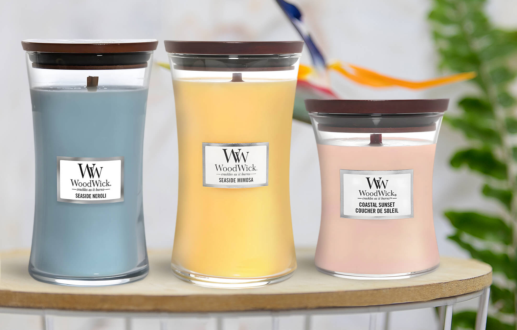 WoodWick Candles